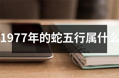 1977年的蛇五行属什么