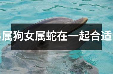 男属狗女属蛇在一起合适么