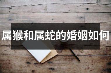 <h3>属猴和属蛇的婚姻如何