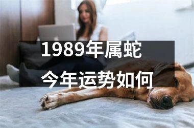 1989年属蛇今年运势如何