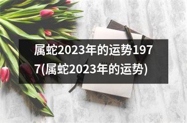 属蛇2025年的运势1977(属蛇2025年的运势)
