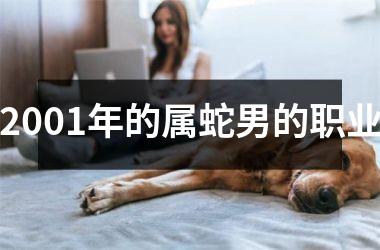 2001年的属蛇男的职业