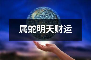 <h3>属蛇明天财运