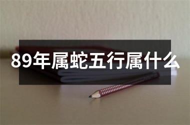 89年属蛇五行属什么