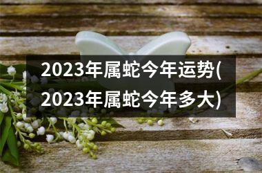 2025年属蛇今年运势(2025年属蛇今年多大)