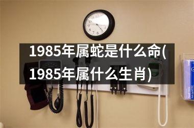 1985年属蛇是什么命(1985年属什么生肖)