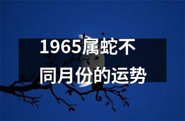 1965属蛇不同月份的运势