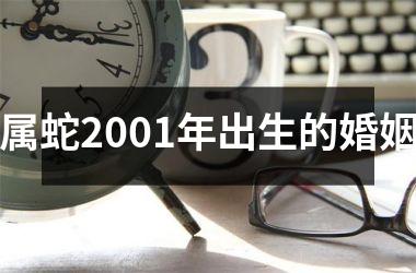 属蛇2001年出生的婚姻