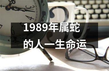 1989年属蛇的人一生命运