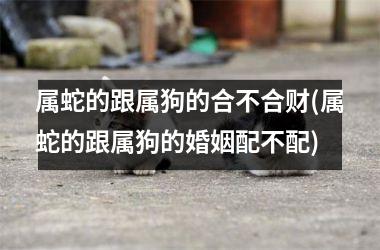 <h3>属蛇的跟属狗的合不合财(属蛇的跟属狗的婚姻配不配)