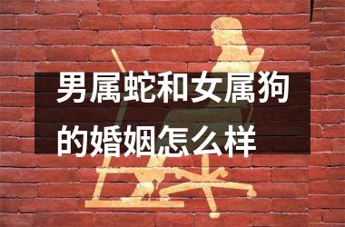 男属蛇和女属狗的婚姻怎么样