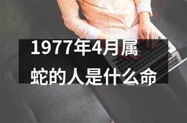 1977年4月属蛇的人是什么命