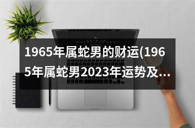 1965年属蛇男的财运(1965年属蛇男2025年运势及运程详解)