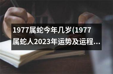 1977属蛇今年几岁(1977属蛇人2023年运势及运程每月运程)