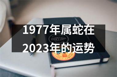 <h3>1977年属蛇在2025年的运势