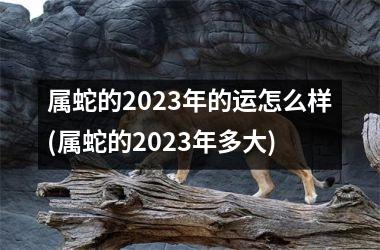 属蛇的2025年的运怎么样(属蛇的2025年多大)