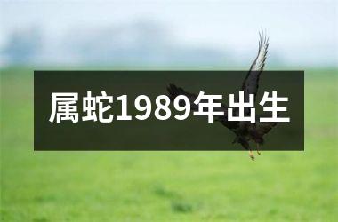 属蛇1989年出生