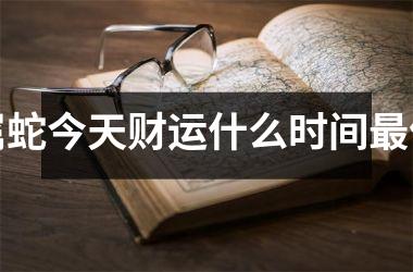 <h3>属蛇今天财运什么时间最佳