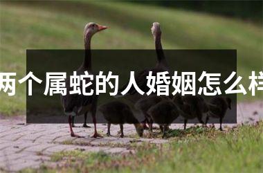 <h3>两个属蛇的人婚姻怎么样