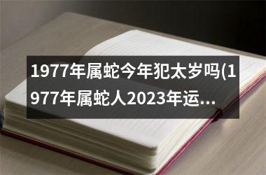 1977年属蛇今年犯太岁吗(1977年属蛇人2025年运势运程每月运程)