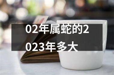 02年属蛇的2025年多大