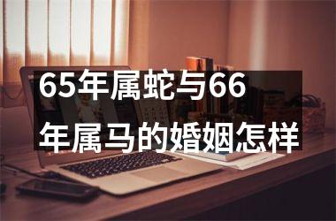 65年属蛇与66年属马的婚姻怎样