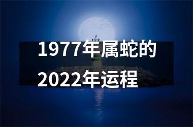 <h3>1977年属蛇的2025年运程