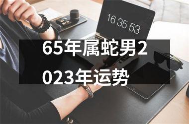 65年属蛇男2025年运势