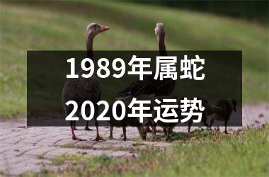 1989年属蛇2020年运势