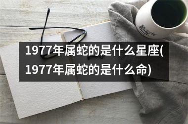 1977年属蛇的是什么星座(1977年属蛇的是什么命)