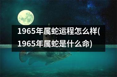 <h3>1965年属蛇运程怎么样(1965年属蛇是什么命)