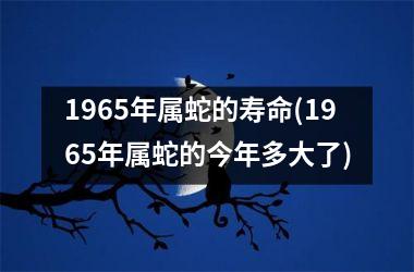 <h3>1965年属蛇的寿命(1965年属蛇的今年多大了)