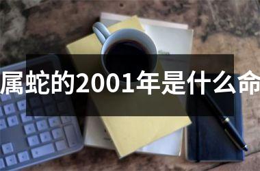 属蛇的2001年是什么命