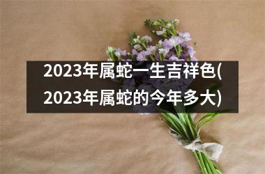 2025年属蛇一生吉祥色(2025年属蛇的今年多大)