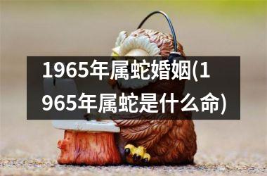 <h3>1965年属蛇婚姻(1965年属蛇是什么命)