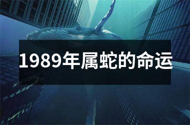 1989年属蛇的命运