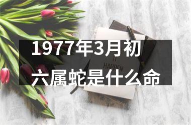 <h3>1977年3月初六属蛇是什么命