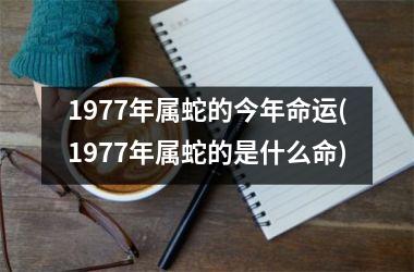 1977年属蛇的今年命运(1977年属蛇的是什么命)