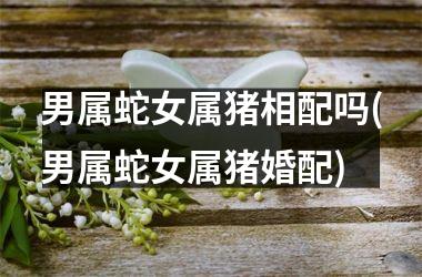 男属蛇女属猪相配吗(男属蛇女属猪婚配)