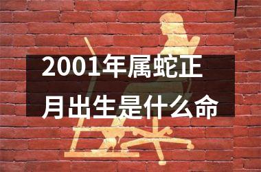 <h3>2001年属蛇正月出生是什么命