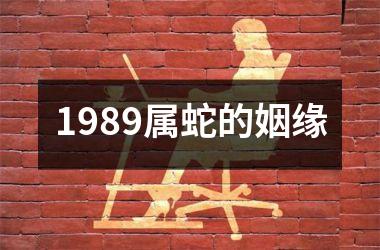<h3>1989属蛇的姻缘