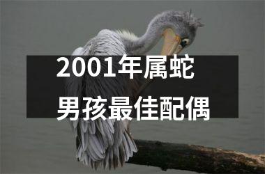 2001年属蛇男孩最佳配偶