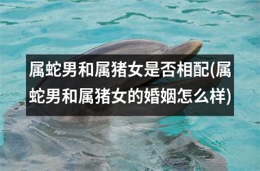 属蛇男和属猪女是否相配(属蛇男和属猪女的婚姻怎么样)