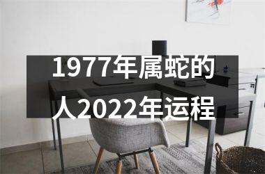 1977年属蛇的人2025年运程