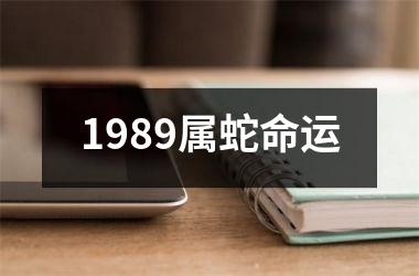 1989属蛇命运