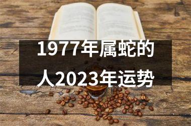 1977年属蛇的人2025年运势