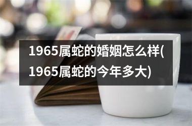 1965属蛇的婚姻怎么样(1965属蛇的今年多大)