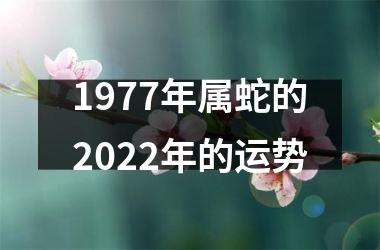 1977年属蛇的2025年的运势