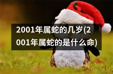 2001年属蛇的几岁(2001年属蛇的是什么命)