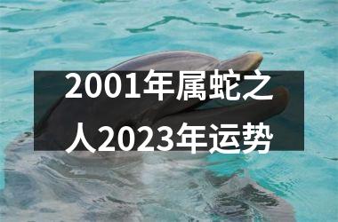 <h3>2001年属蛇之人2025年运势